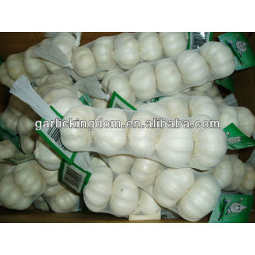 5P jinxiang garlic